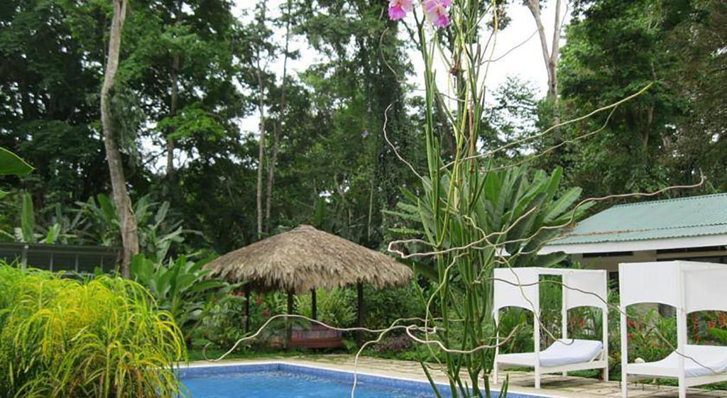 Vip Hotel Playa Negra Puerto Viejo de Talamanca Exterior foto