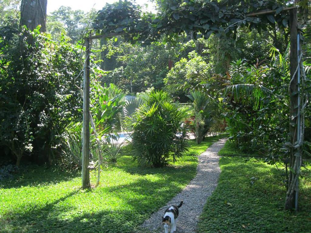 Vip Hotel Playa Negra Puerto Viejo de Talamanca Exterior foto