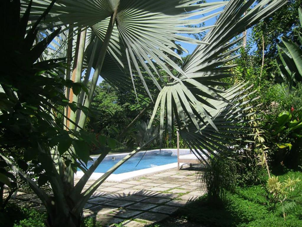 Vip Hotel Playa Negra Puerto Viejo de Talamanca Exterior foto