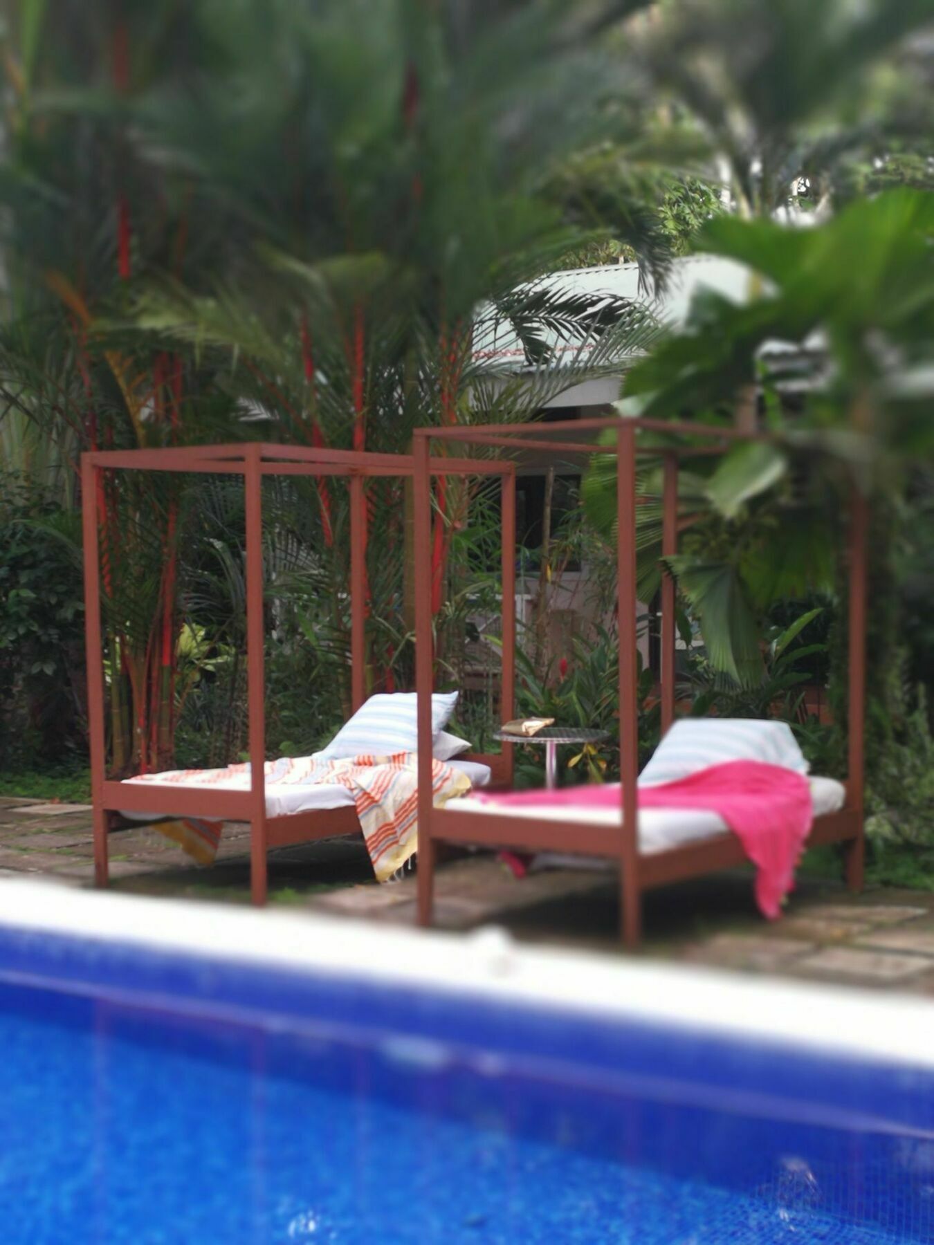 Vip Hotel Playa Negra Puerto Viejo de Talamanca Exterior foto